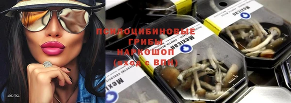 гидра Абинск