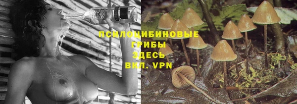 спайс Абдулино