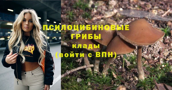 гидра Абинск